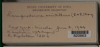 Image Associated With the Occurence
